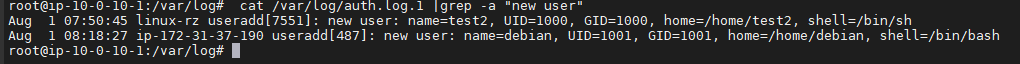image-20240412124422213