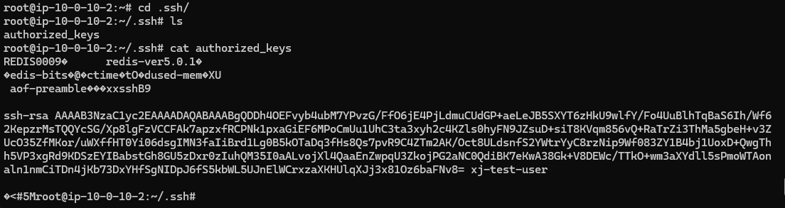 image-20240426151024539