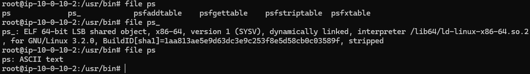 image-20240426155454561