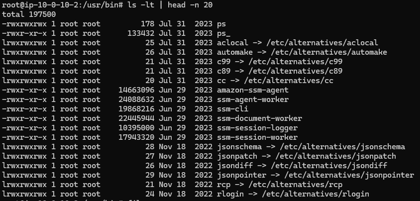image-20240426155526063